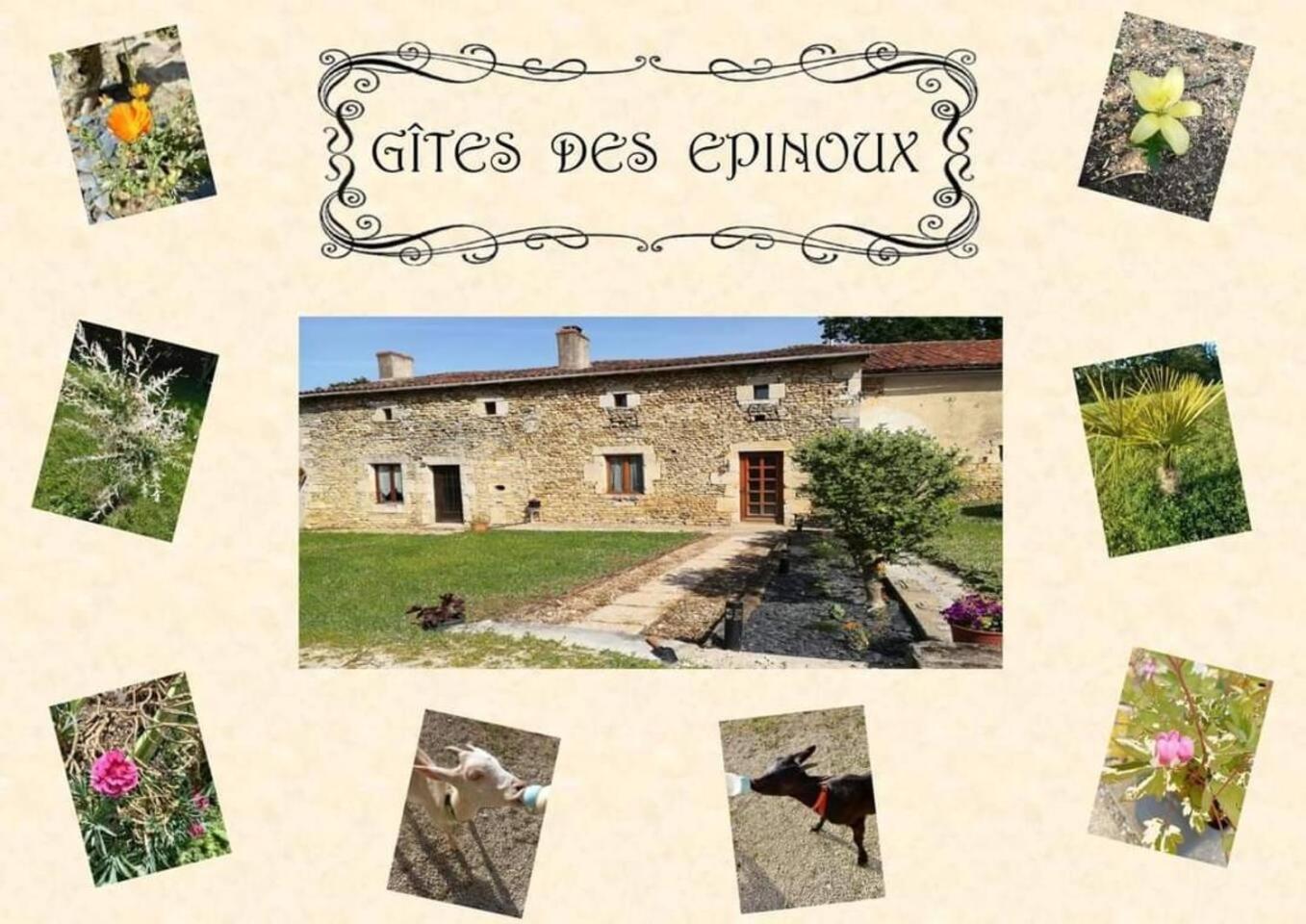 Villa Le Papillon à Savigne Extérieur photo